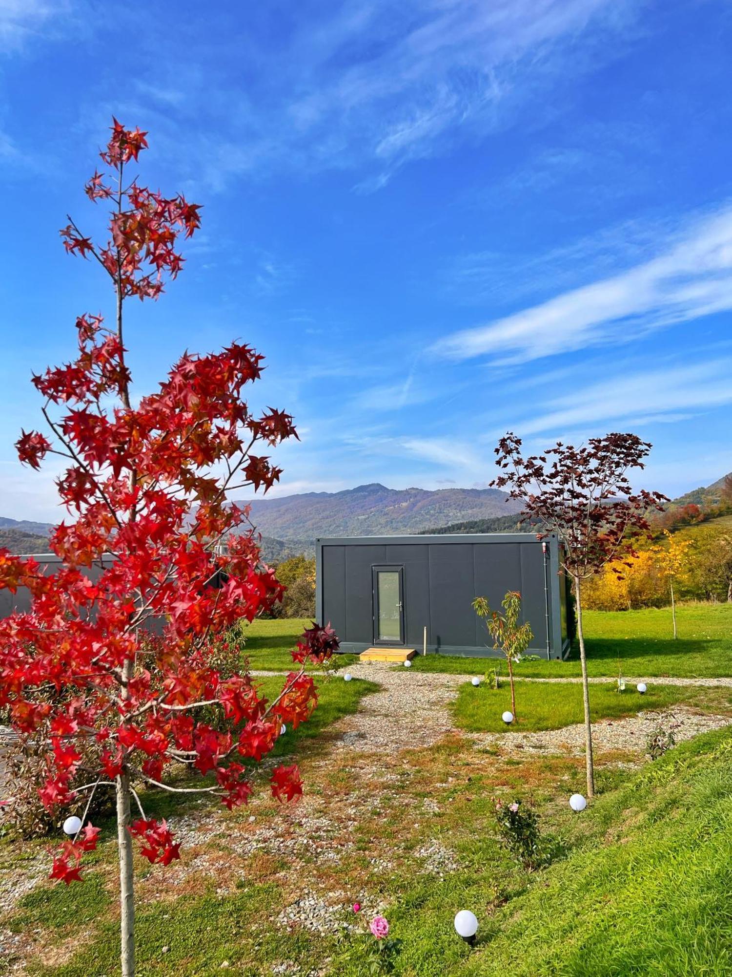Hotel Flandra Glamping Corbeni Exterior foto